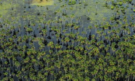 Estado já conta com 1,4 milhão de hectares com Cadastro Ambiental Rural Coletivo
