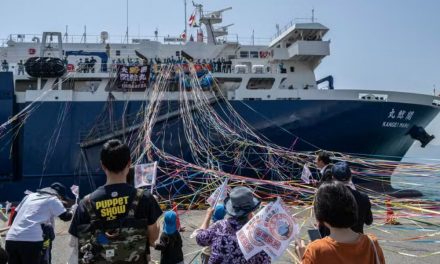 Em guerra com os ambientalistas, Japão lança novo “navio-mãe” de caça às baleias