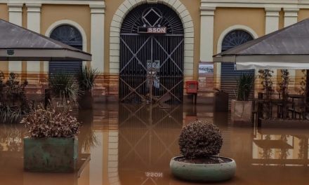 Sobe para sete número de mortes por leptospirose no Rio Grande do Sul